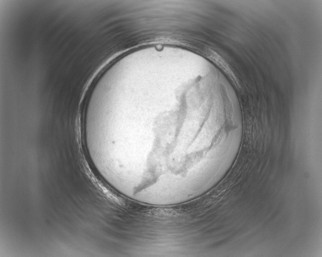 X0000067831092200605041617