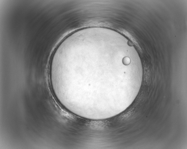 X0000067831094200605041617