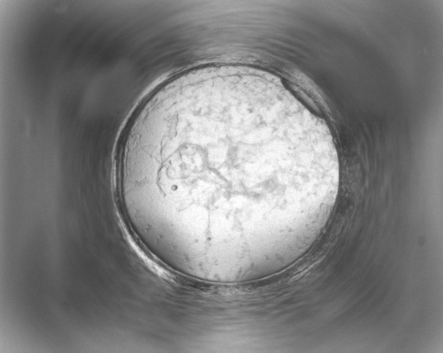 X0000067831095200605041617