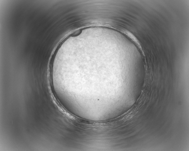 X0000067831096200605041617