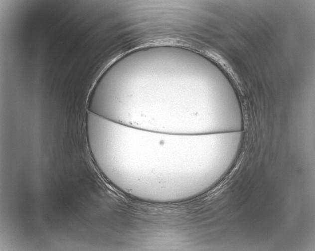 X0000067831097200605041617