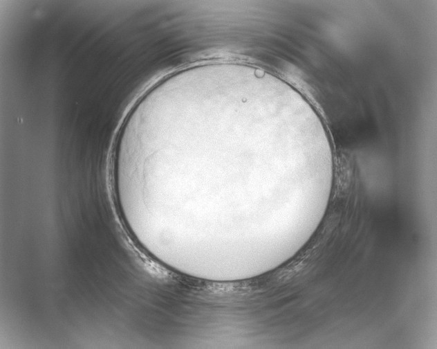 X0000067831098200605041617