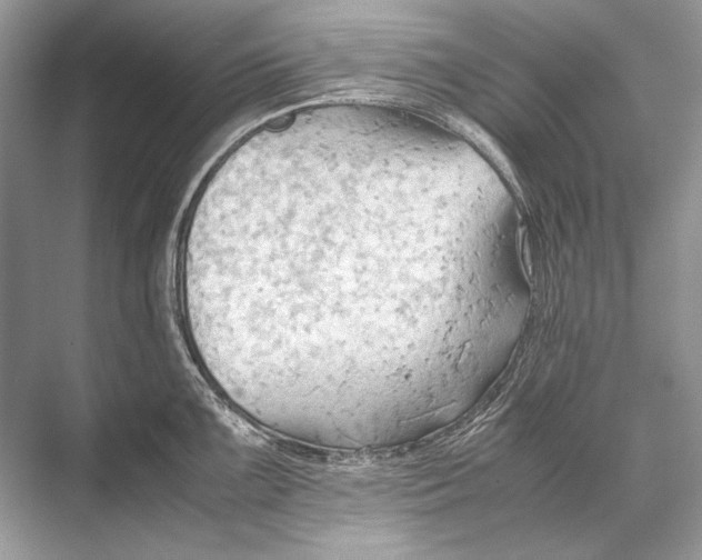 X0000067831099200605041617