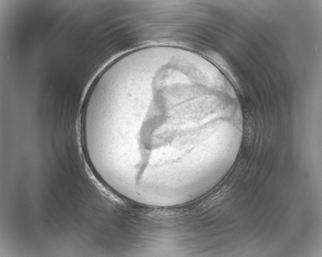 X0000067831100200605041617