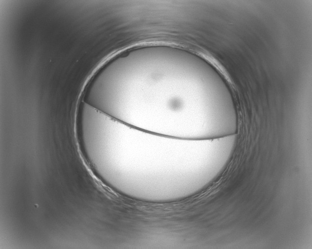 X0000067831101200605041617