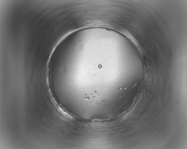 X0000067831102200605041617