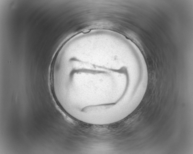 X0000067831103200605041617