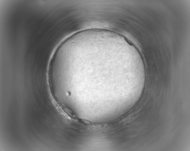 X0000067831104200605041617