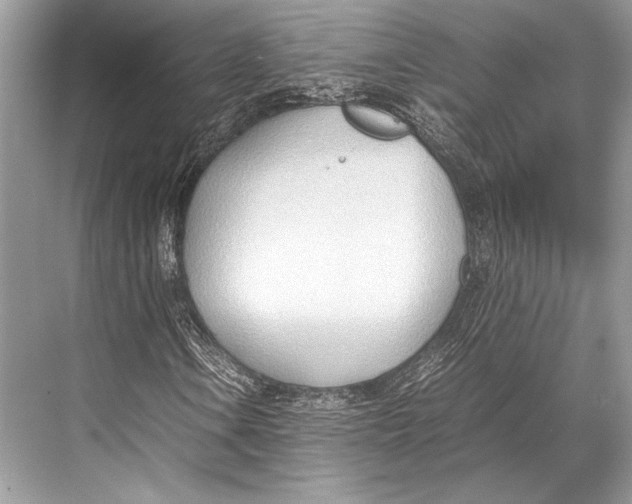 X0000067831106200605041616