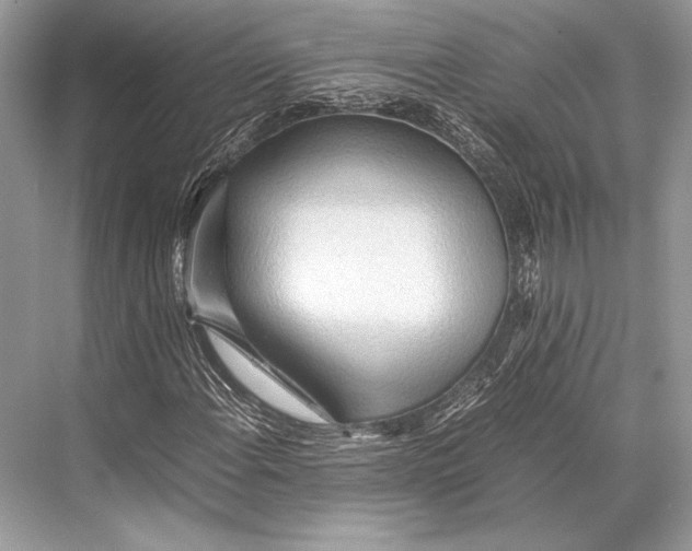 X0000067831108200605041616