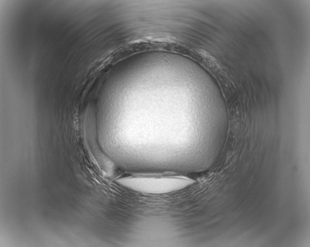 X0000067831110200605041616