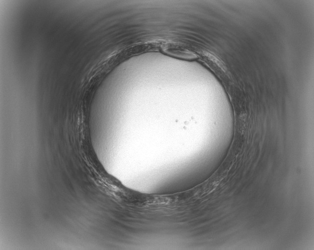 X0000067831111200605041616