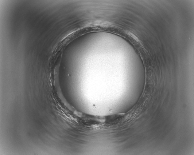 X0000067831112200605041616