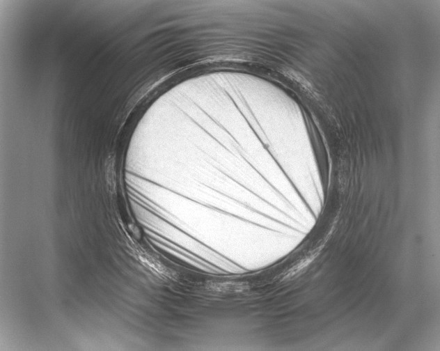 X0000067831113200605041616