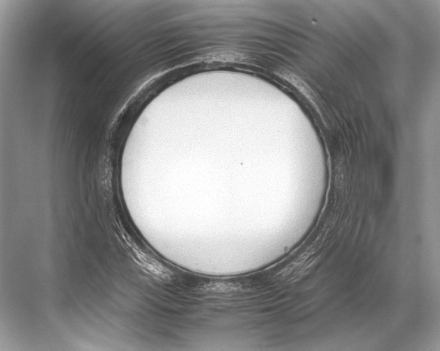 X0000067831115200605041616