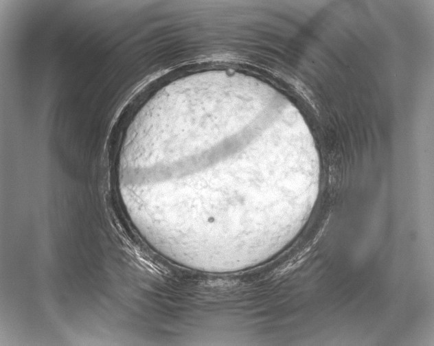 X0000067831117200605041616