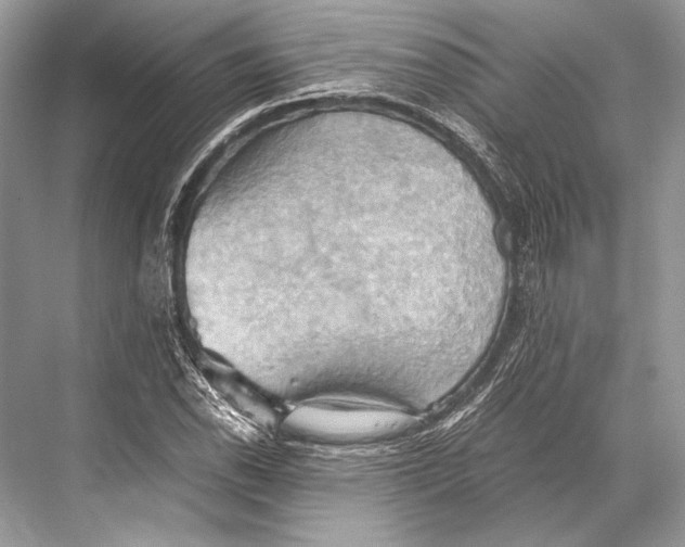 X0000067831118200605041616