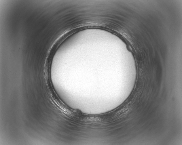 X0000067831119200605041616