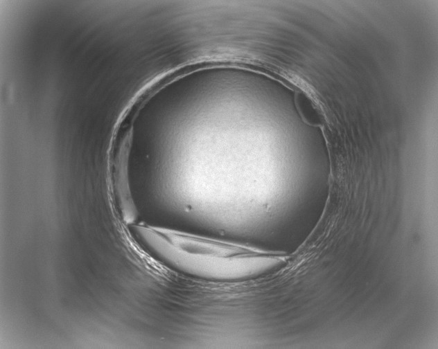 X0000067831120200605041616