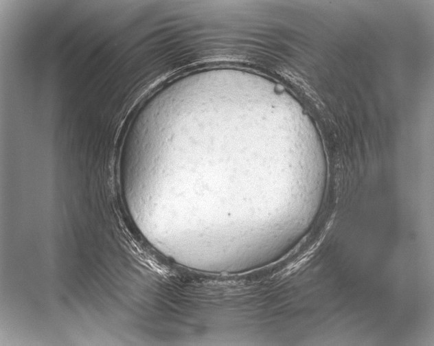 X0000067831121200605041616