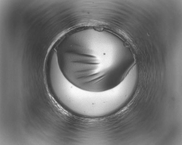 X0000067831122200605041616