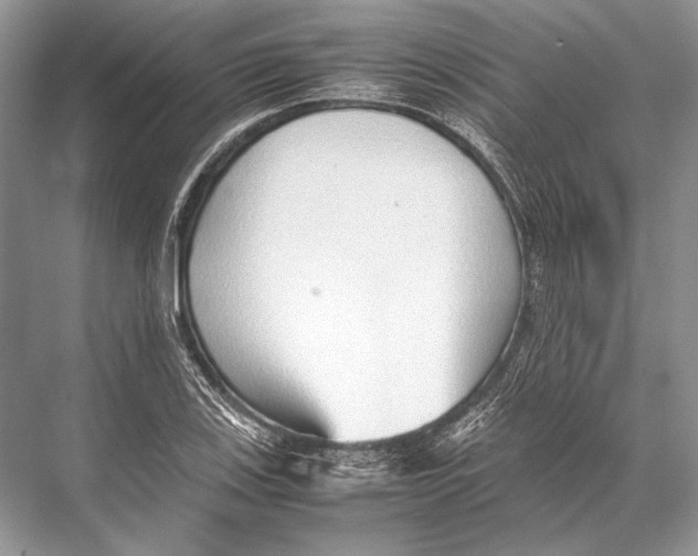 X0000067831123200605041616