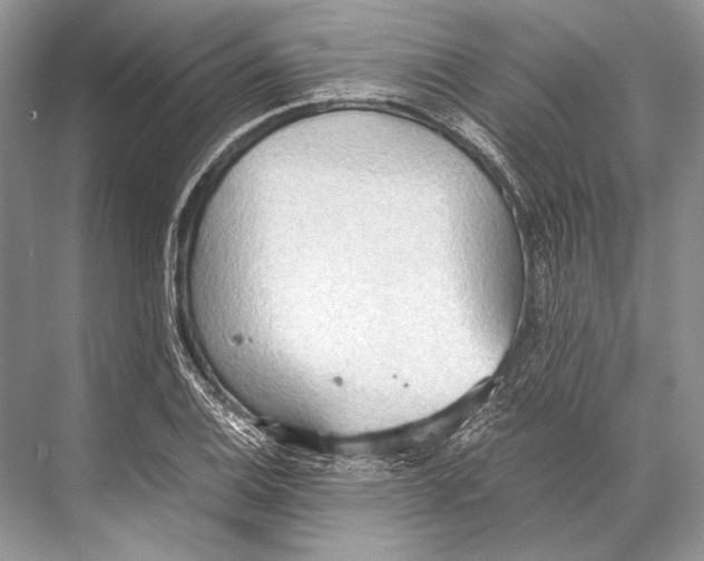 X0000067831124200605041616