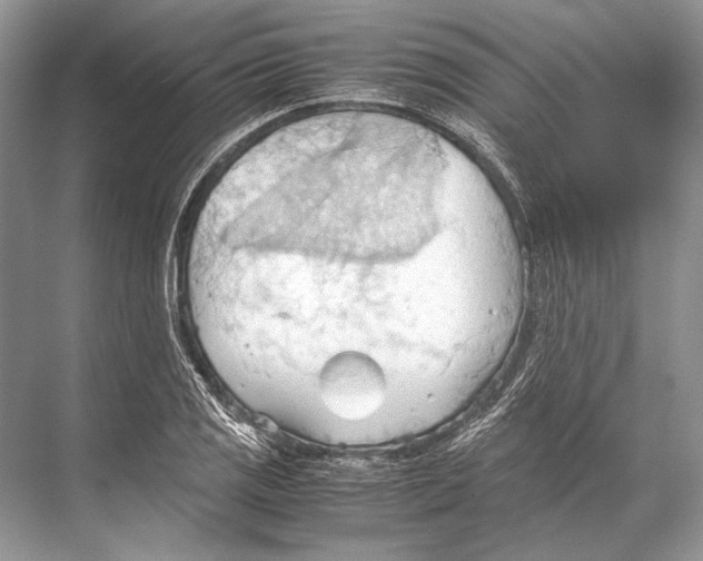 X0000067831125200605041616