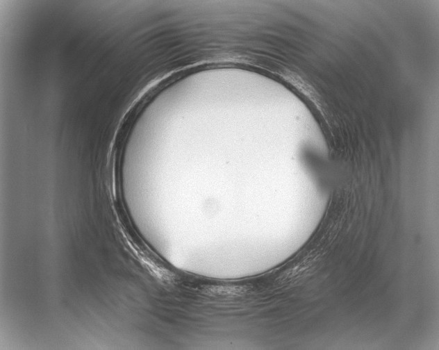 X0000067831127200605041616