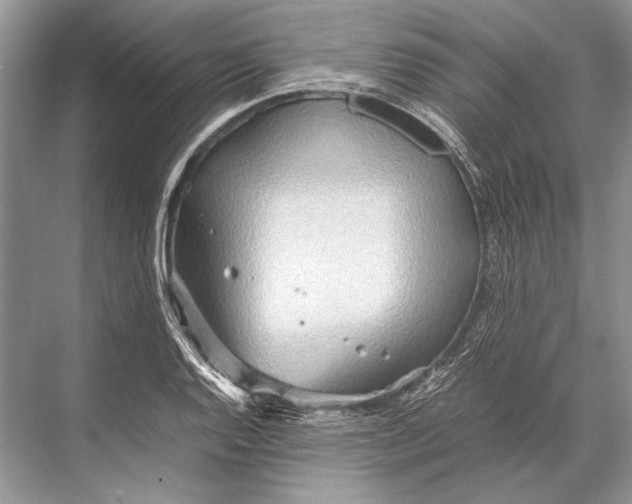 X0000067831128200605041616