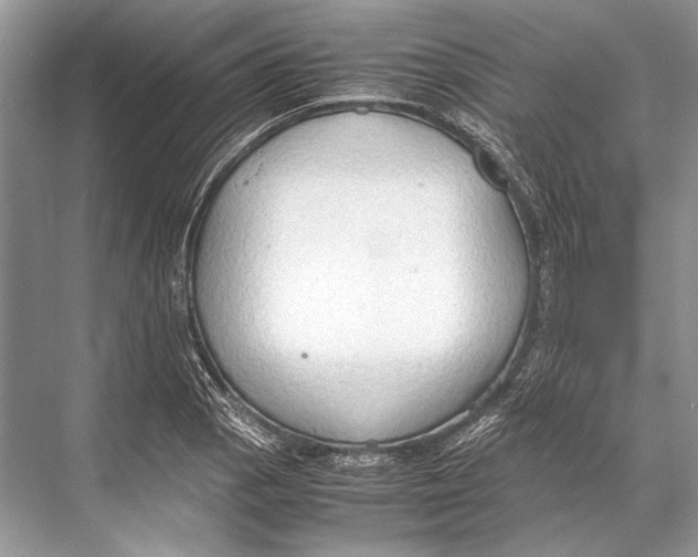 X0000067831129200605041616