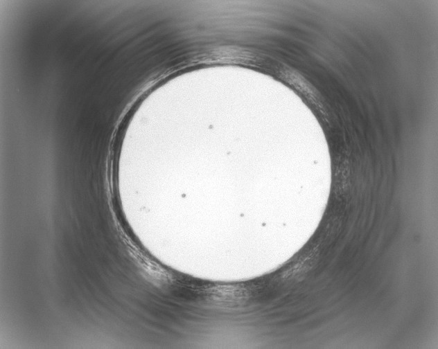 X0000067831130200605041616