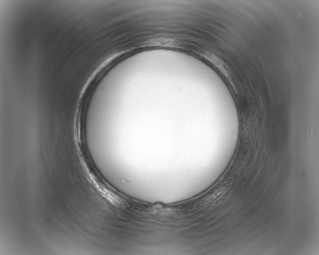 X0000067831131200605041616