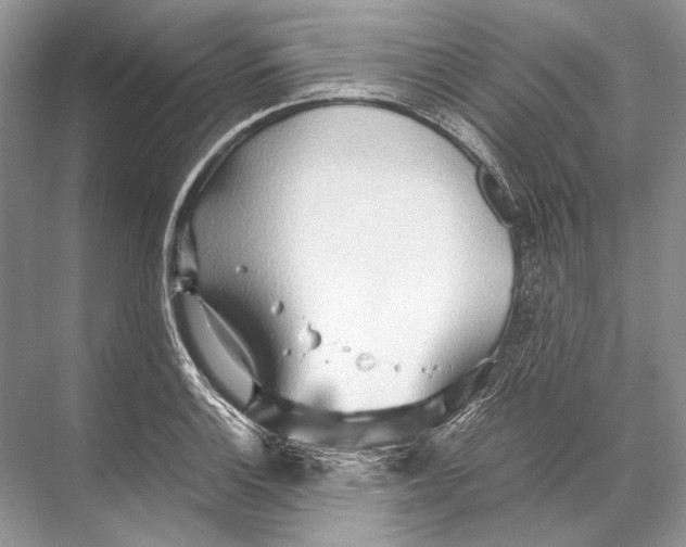 X0000067831132200605041616