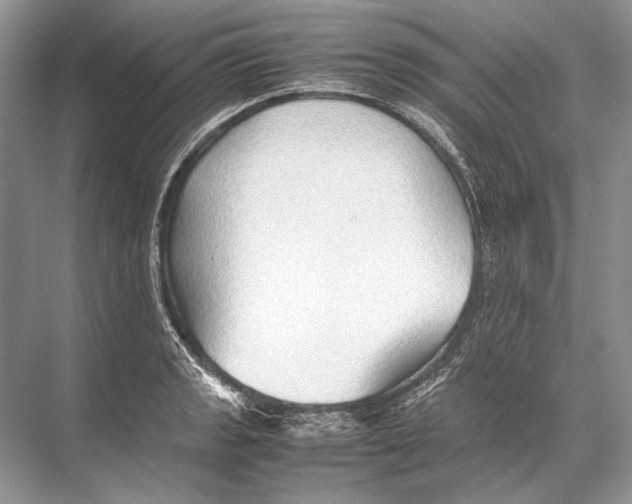 X0000067831133200605041616