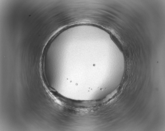 X0000067831134200605041617