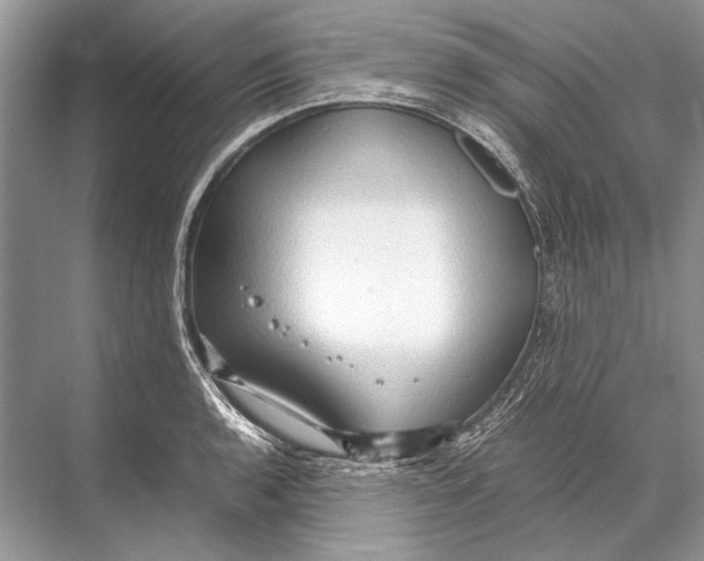 X0000067831136200605041617