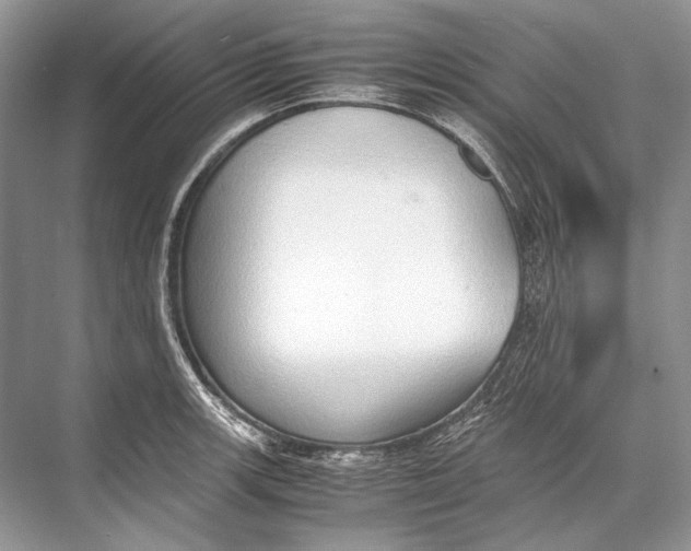 X0000067831139200605041617