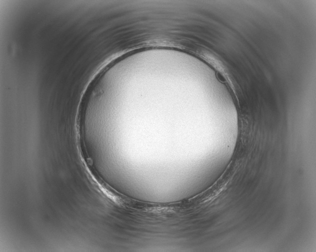 X0000067831141200605041617