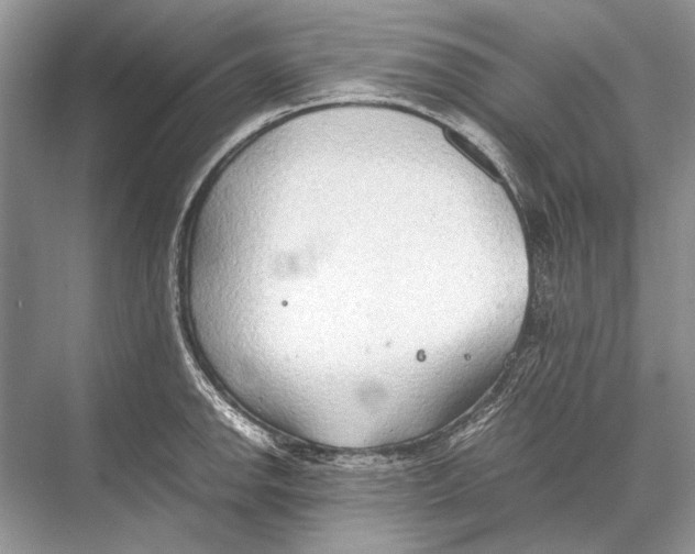 X0000067831142200605041617