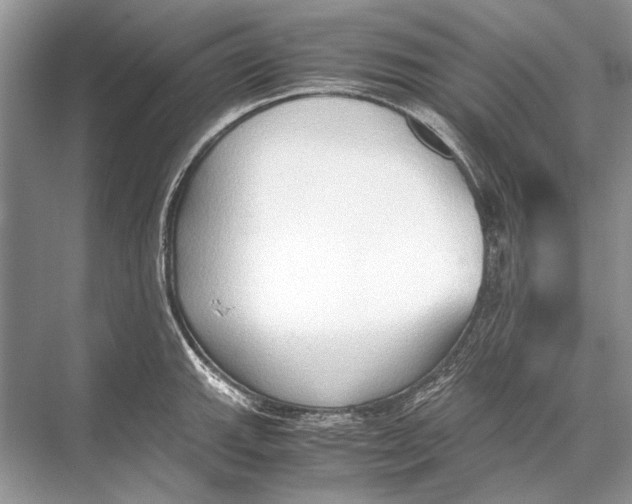 X0000067831143200605041617