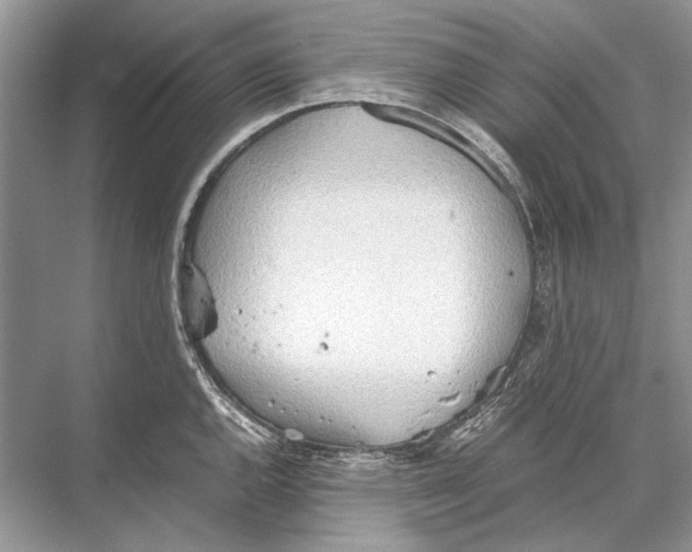 X0000067831144200605041617