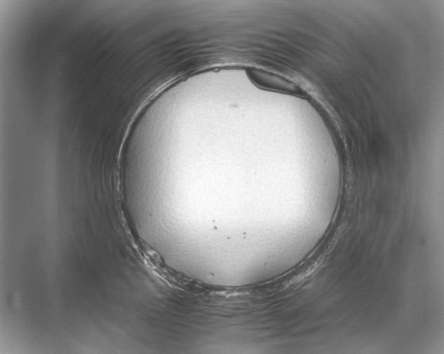 X0000067831145200605041617