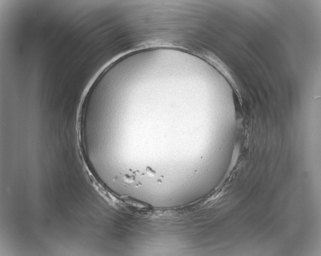 X0000067831148200605041617