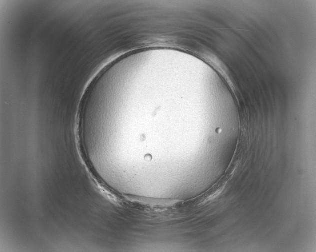 X0000067831149200605041617