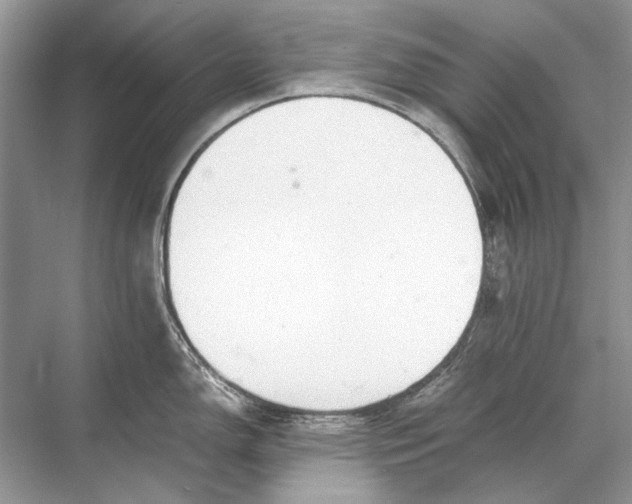 X0000067831150200605041617