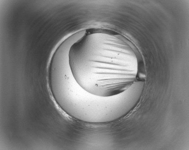 X0000067831152200605041617