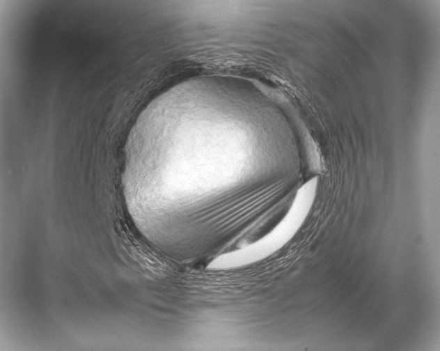 X0000067831153200605041616