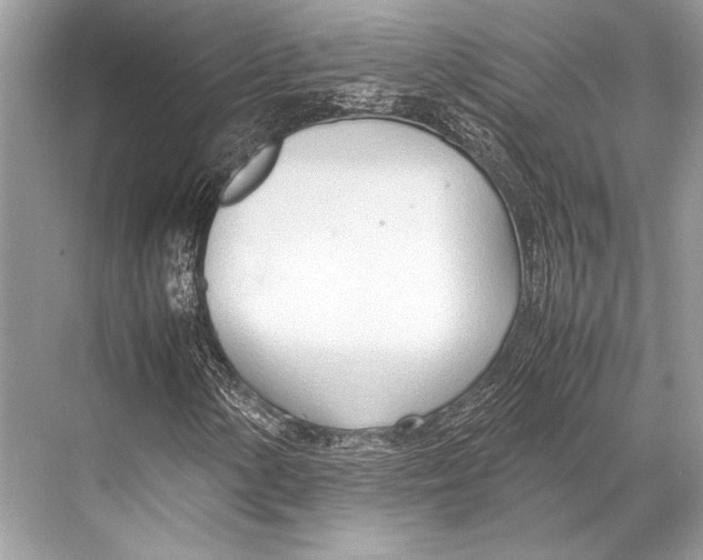 X0000067831154200605041616