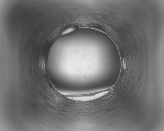 X0000067831155200605041616